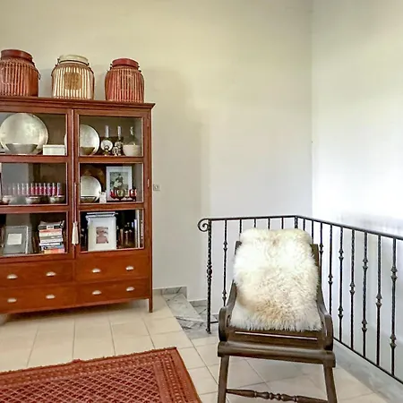 Pet Friendly In Arkadia