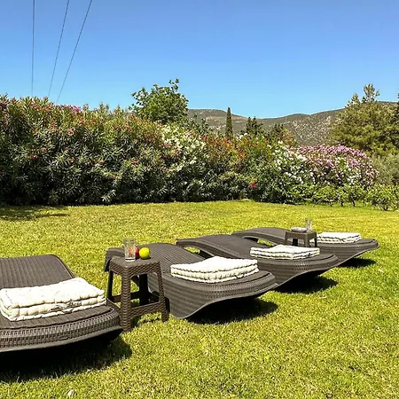 Pet Friendly In Arkadia *