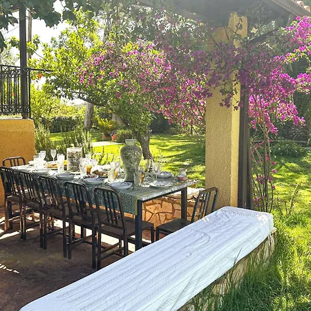 Pet Friendly In Arkadia Ferienhaus Ástros