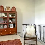 Pet Friendly In Arkadia