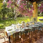 Pet Friendly In Arkadia * أستروس