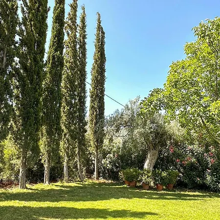 Pet Friendly In Arkadia