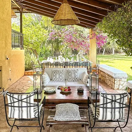 Pet Friendly In Arkadia