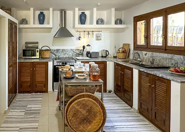 Pet Friendly In Arkadia Astros