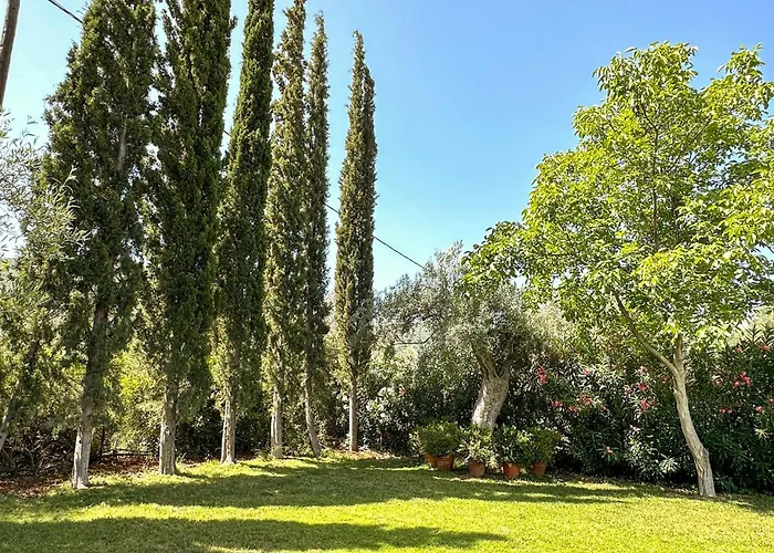 Pet Friendly In Arkadia