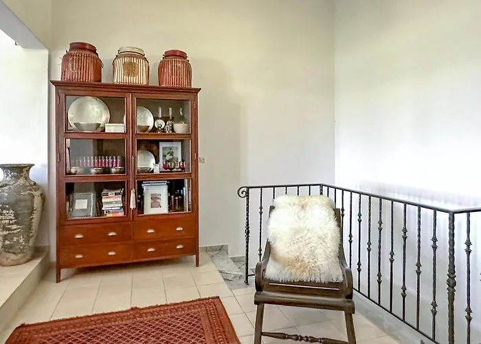 Pet Friendly In Arkadia