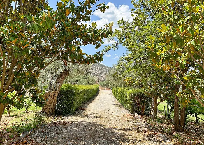 Pet Friendly In Arkadia Prázdninový dům *