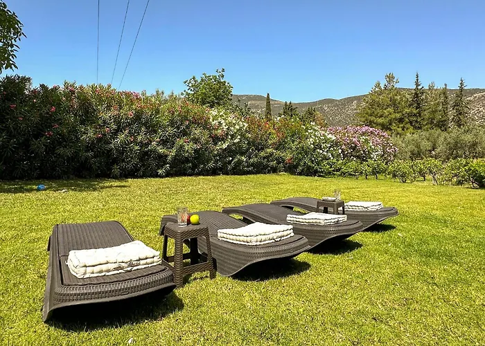 Pet Friendly In Arkadia *