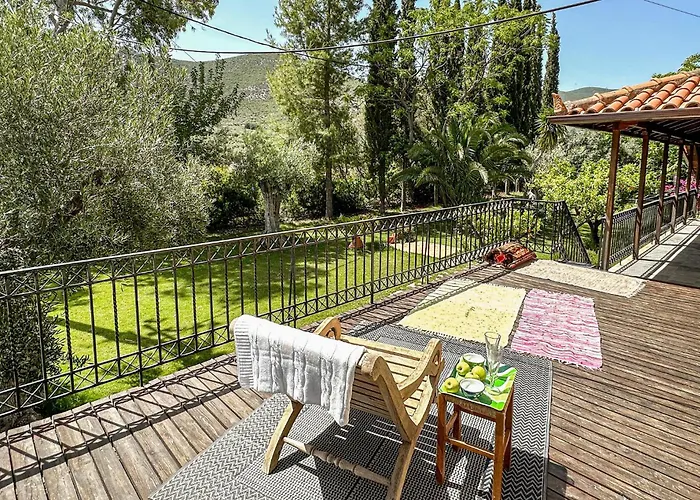 Pet Friendly In Arkadia Astros